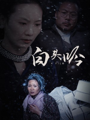 白头吟（32集）