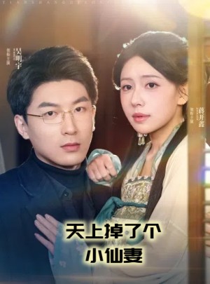 天上掉下个小仙妻（60集）