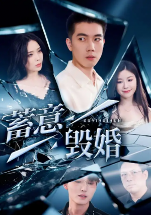 蓄意毁婚（51集）