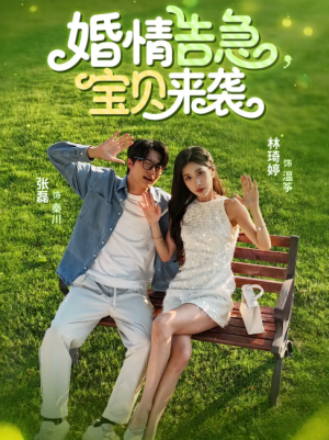 婚情告急宝贝来袭（77集）