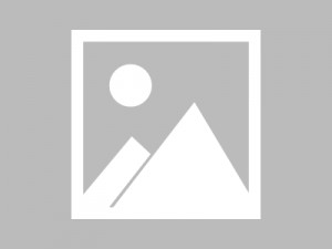 《全家偷听我心声我负责吃奶（全家偷听我心声陆朝朝）萌崽被读心全家逆天改命了（萌娃被读心全家逆天改命）》（100集）