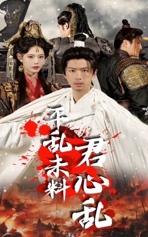 平乱未料君心乱（30集）
