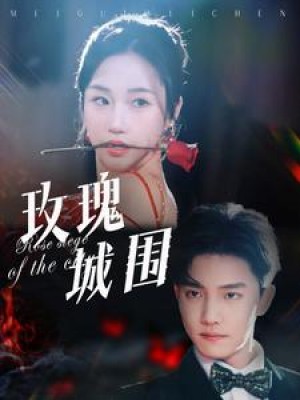 玫瑰城围（78集）