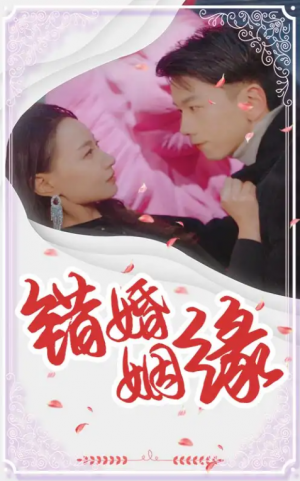 错婚姻缘（65集）