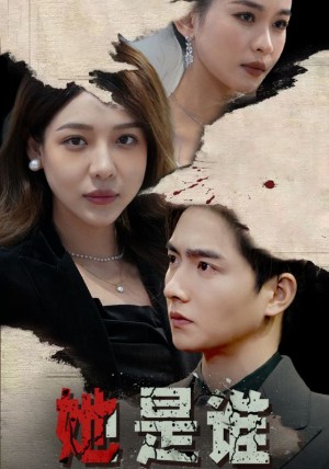 《她是谁》(79集）