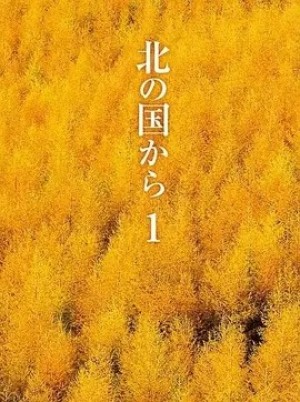 日剧 | 北国之恋 (1981)丨9.5分