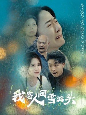 《我寄人间雪满头》（71集）