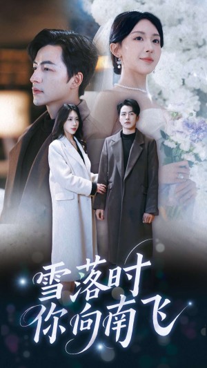 雪落时你向南飞（34集）