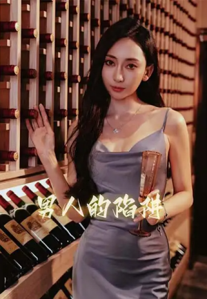 男人的陷阱（33集）