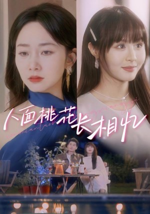 人面桃花长相忆（81集）