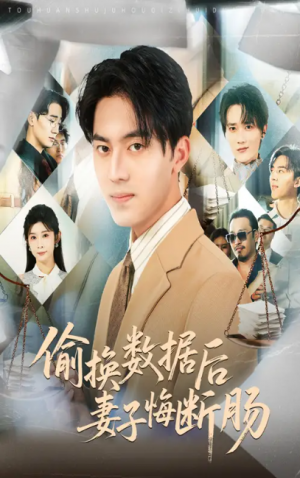 偷换数据后妻子悔断肠（63集）