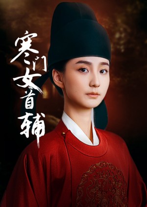 寒门女首辅（80集）