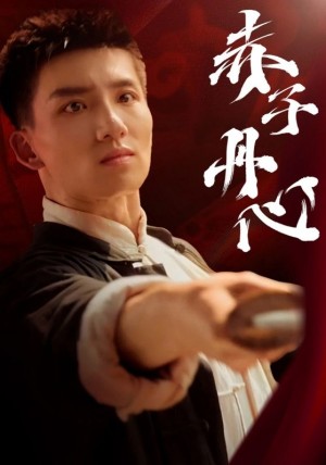 赤子丹心（48集）