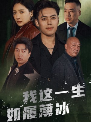 我这一生如履薄冰（80集）