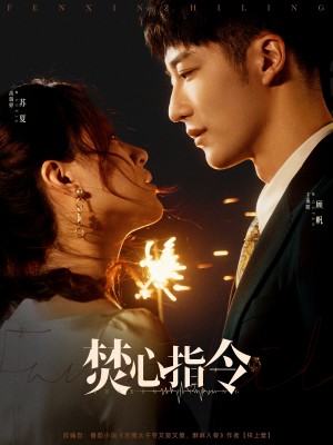 焚心指令（80集）