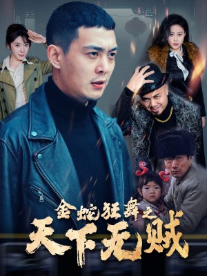 金蛇狂舞之天下无贼（52集）