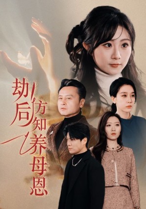 劫后方知养母恩（春风拂旧怨）（45集）