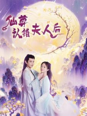 仙尊认错夫人后（64集）