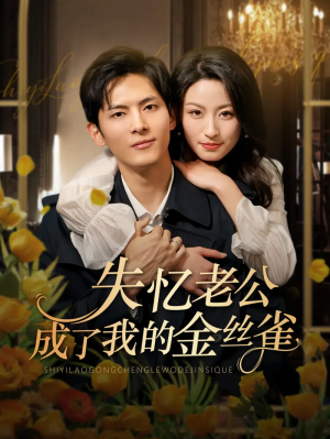 失忆老公成了我的金丝雀（62集）