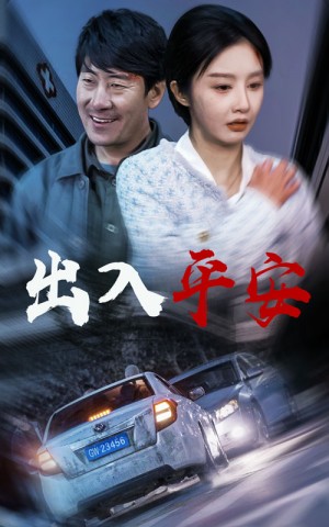 出入平安（30集）