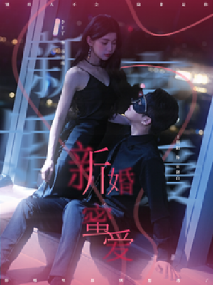 新婚蜜爱（80集）