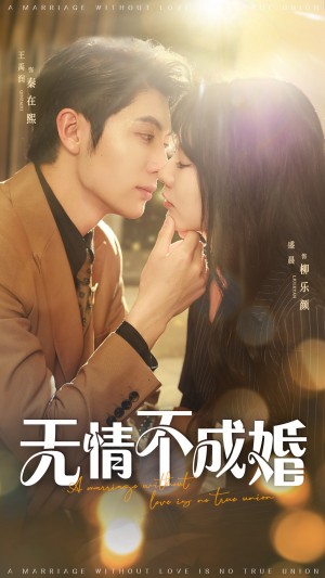 无情不成婚（70集）