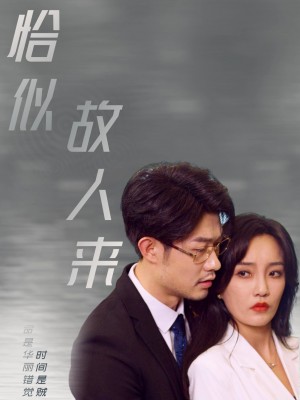 恰似故人来（79集）