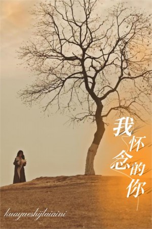 我怀念的你（跨越时间来爱你）（38集）